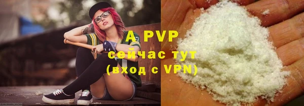 apvp Алзамай