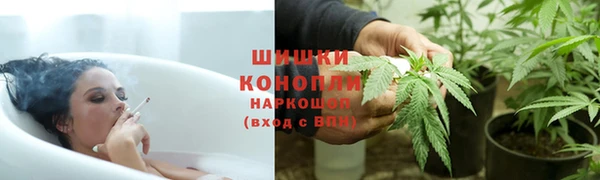 apvp Алзамай